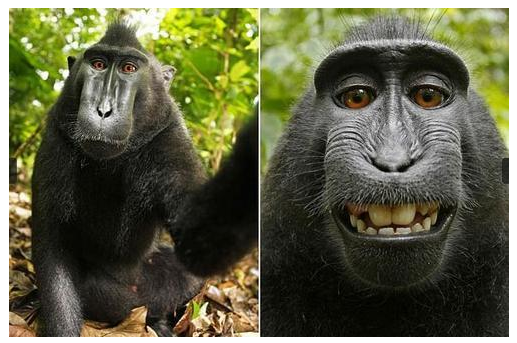 ����ӵ������Ȩ��ӡ�����ġ�������Ȩ��˾