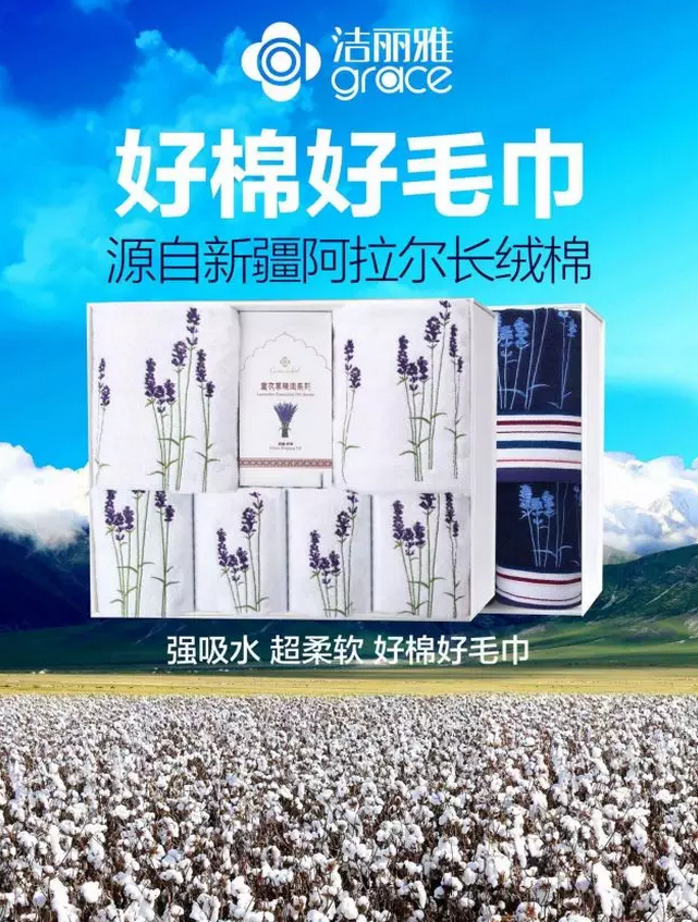 G20杭州峰会表彰会 洁丽雅的新起点