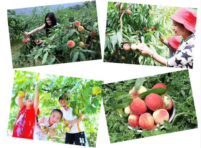 ֡Ʒҡϯһ٣һģʽɣƱ졿